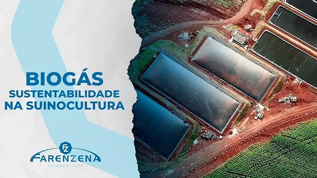 Biogás e Suinocultura - Um investimento sustentável