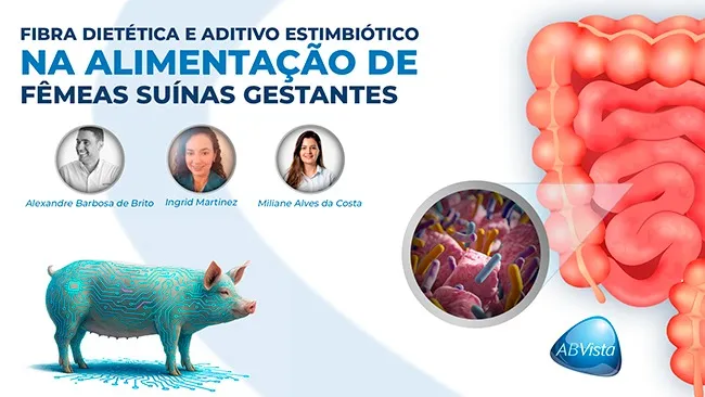 Utilização da fibra dietética e de aditivo estimbiótico na alimentação de fêmeas suínas em gestação