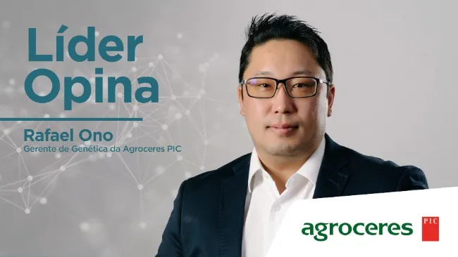 Líder Opina: Impacto de novas tecnologias no melhoramento genético de suínos