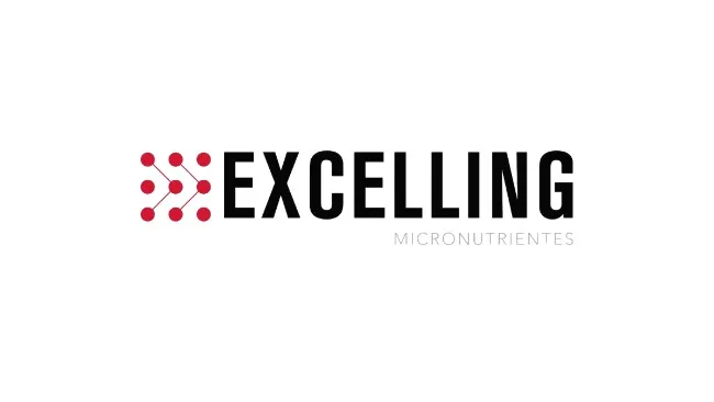 Excelling se suma al LVII Congreso AMVEC 2025 para hablar de nutrición, enzimas y salud intestinal: GOX, Norum y Welly
