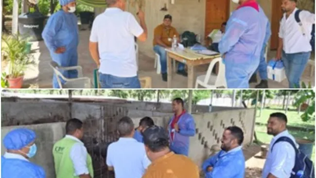 El Instituto Colombiano Agropecuario ICA avanza en actividades de Prot...