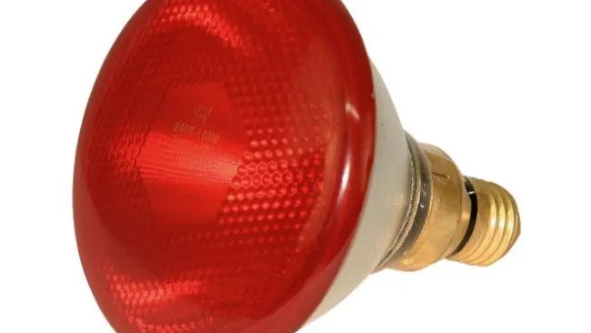 BOMBILLA 175 W ROJA🌞💥💡
