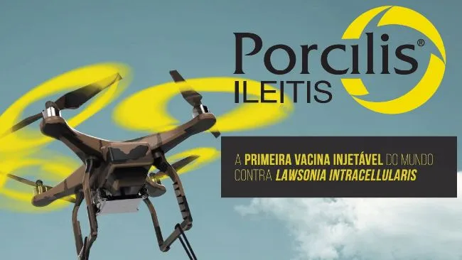 Vamos conhecer os cuidados adicionais para uma vacinação segura e eficaz com Porcilis® Ileitis?