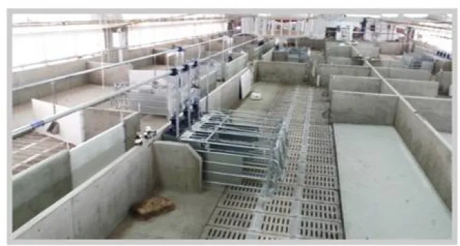 Sei stufo di addestrare le scrofette all'alimentatore automatico?? Pro...