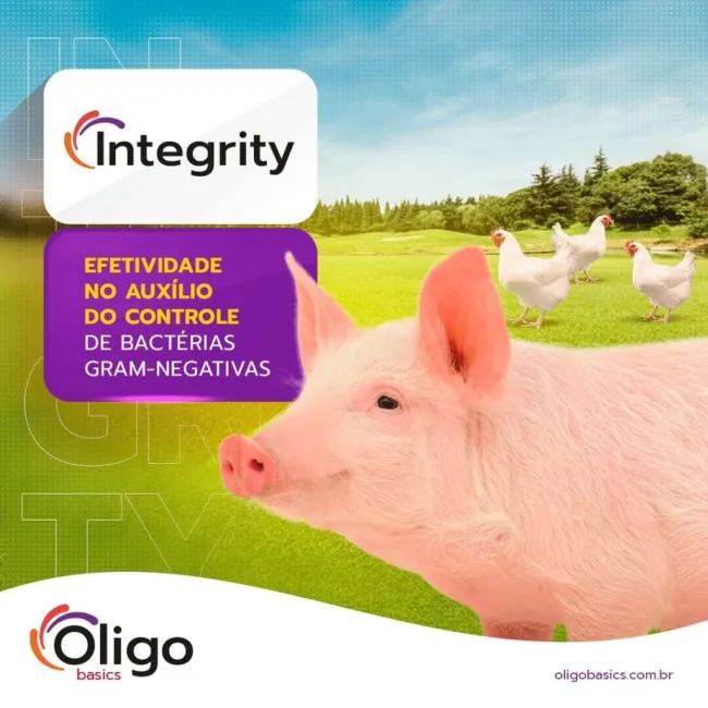 Conhece o Integrity ? 