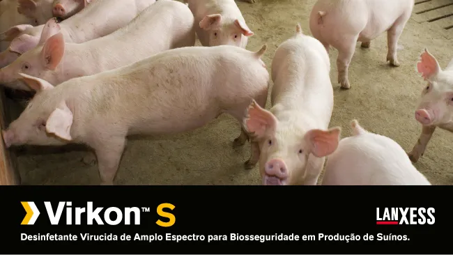 Nebulização aérea de solução desinfetante Virkon™ S e o controle de doenças respiratórias