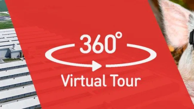 Tour virtual de 360 grados por una de nuestras mejores granjas