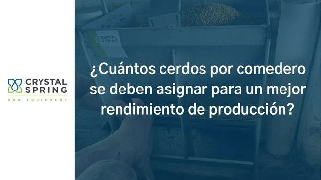 Animales por boca de comedero en alimentación seca/húmeda
