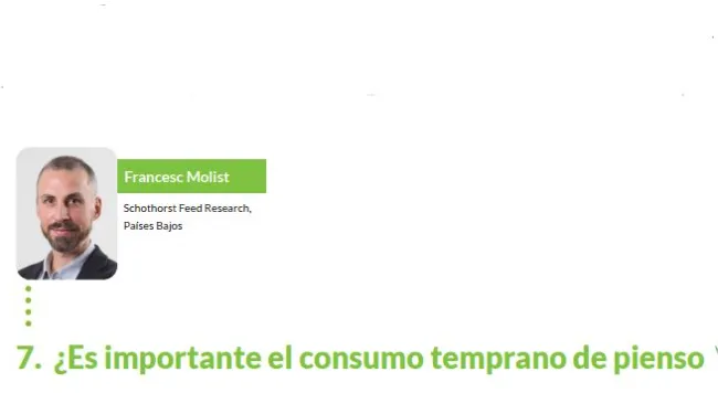 ¿Es importante el consumo temprano de pienso?