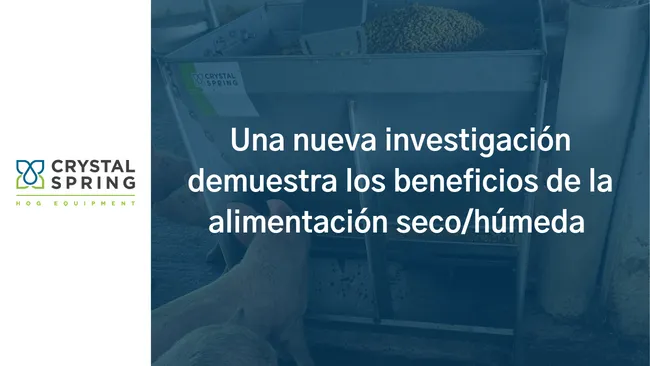 Nueva investigación sobre los beneficios de la alimentación seco/húmeda