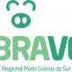 Abraves Regional Mato Grosso do Sul