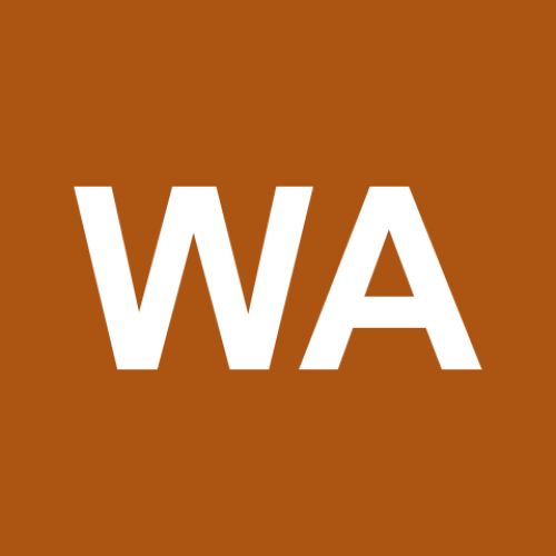WESLEY ARAUJO