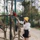 Trang Ngo