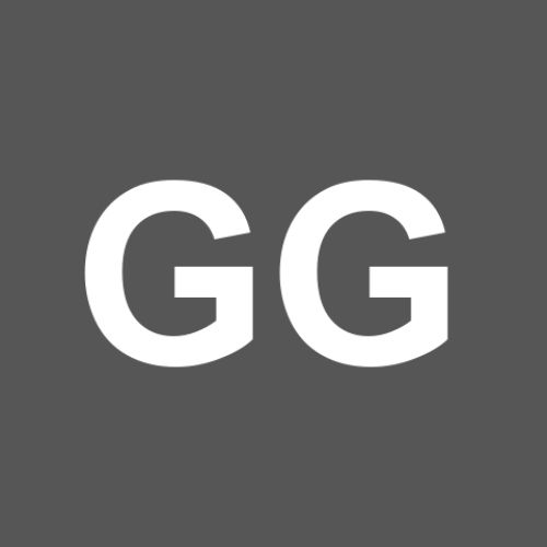 Gustavo Guimaraes Bessa Santos Silva