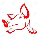 Mr  pig