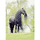 Oscar Andrés Estupiñan Tarazona