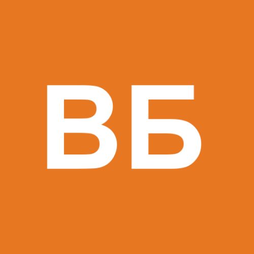 владимир борисов
