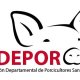 Adepor Santa Cruz